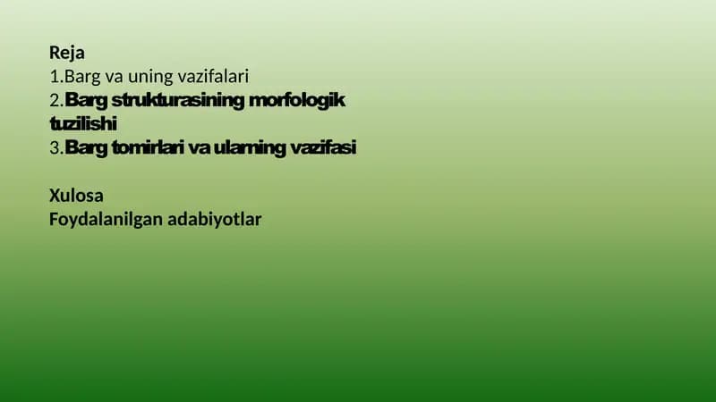 Prezentaciya (taqdimot)
