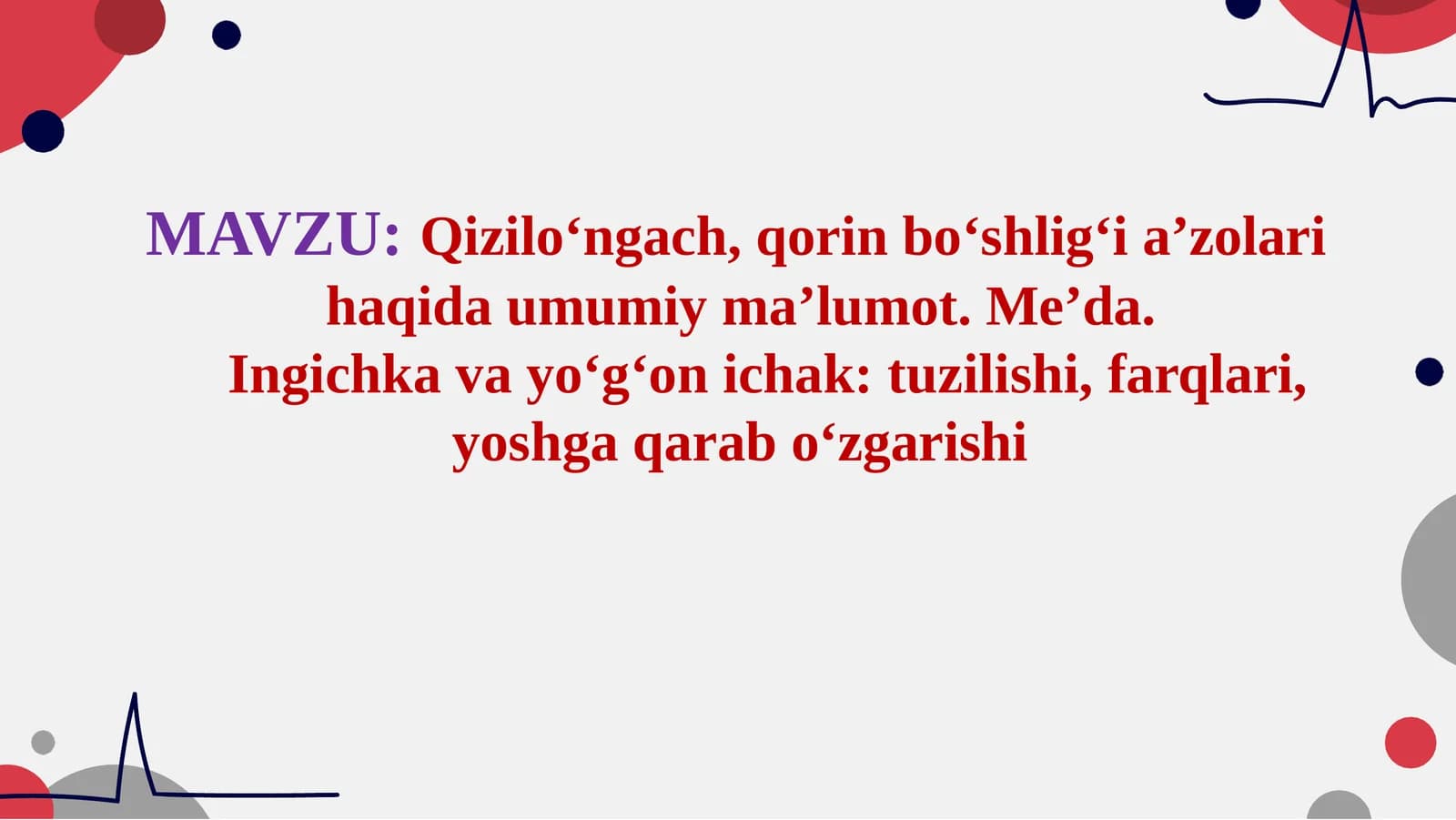 Qiziloʻngach,Me'da,ingichka ichak,yo'g'on ichak anatomiyasi
