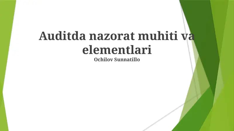 Auditda nazorat muhiti va elementlari