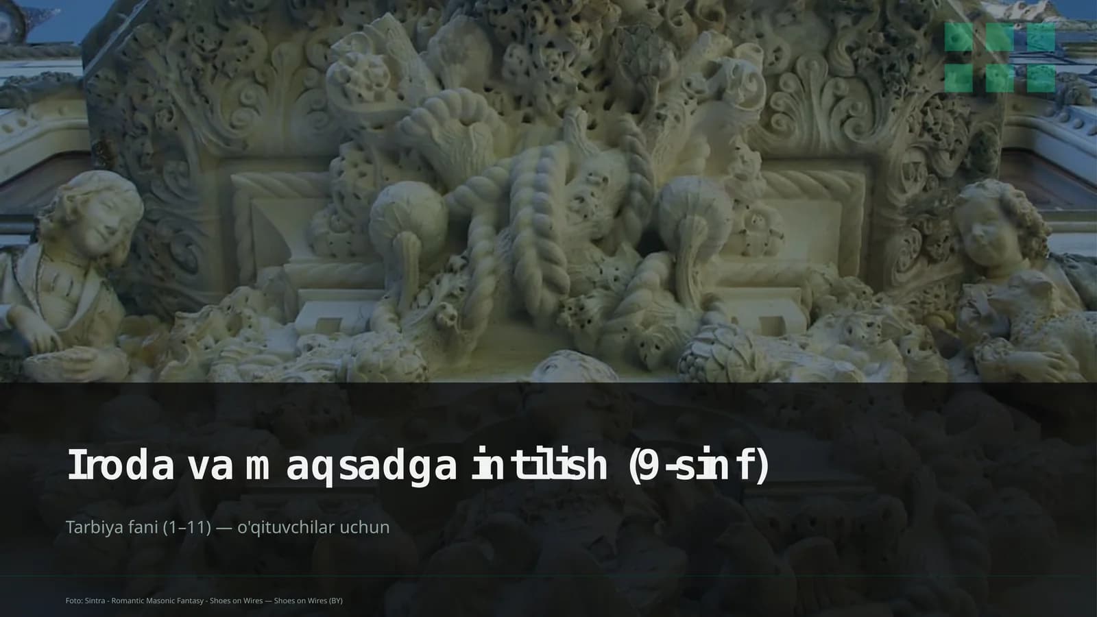 Iroda va maqsadga intilish (9-sinf)