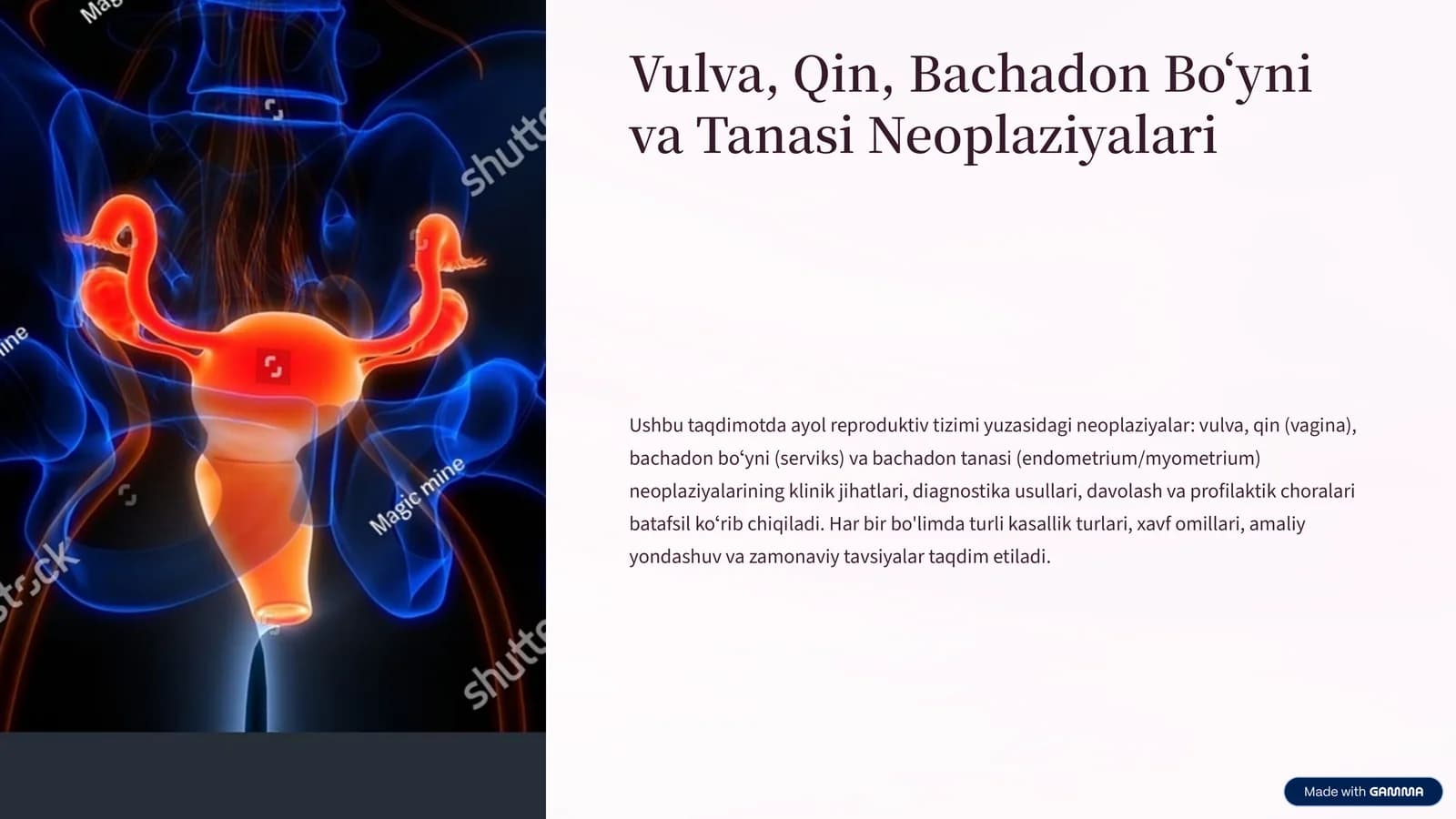 Vulva, Qin, Bachadon Boʻyni va Tanasi Neoplaziyalari
