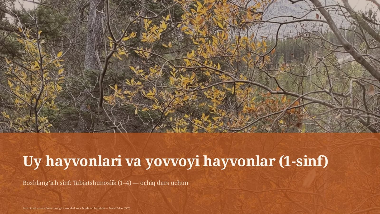 Uy hayvonlari va yovvoyi hayvonlar (1-sinf)