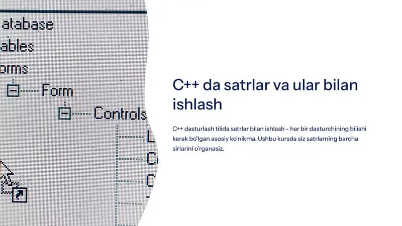 C++ da satrlar va ular bilan ishlash