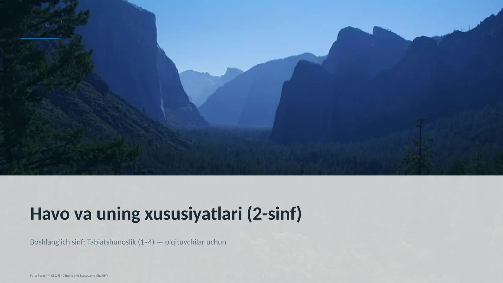 Havo va uning xususiyatlari (2-sinf)