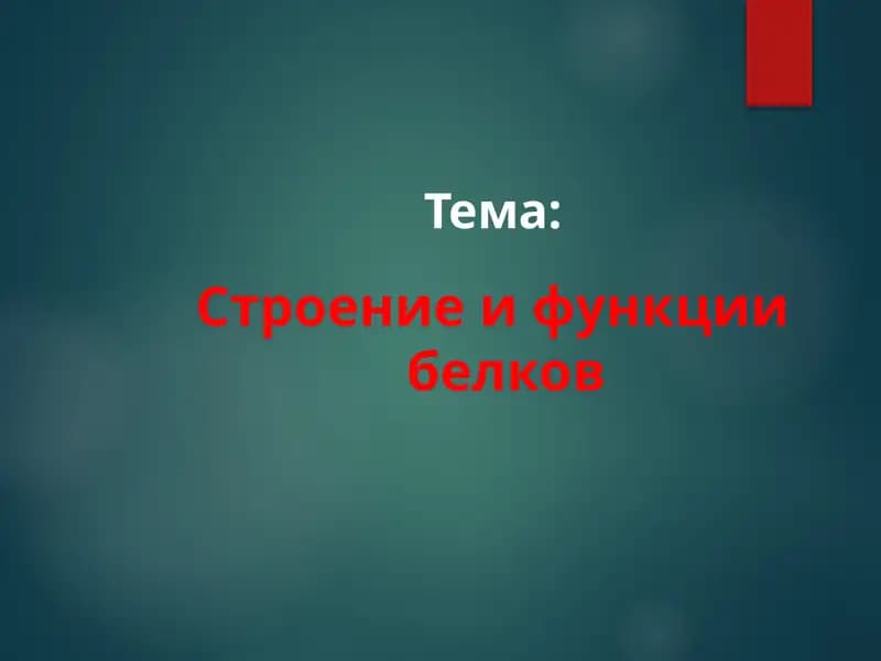 Строение и функции белков