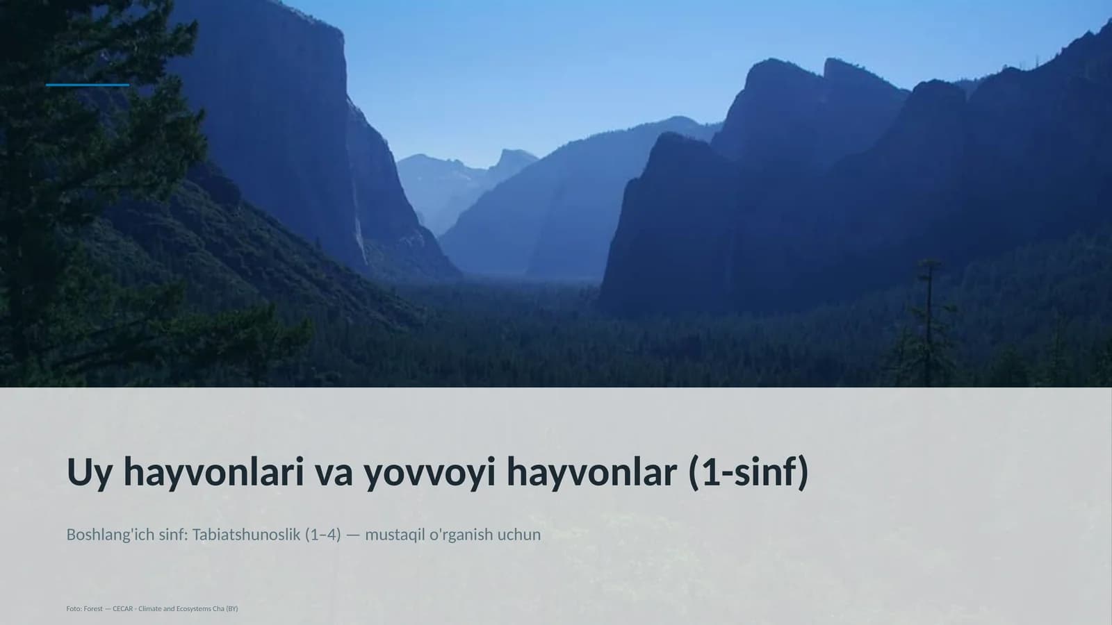 Uy hayvonlari va yovvoyi hayvonlar (1-sinf)