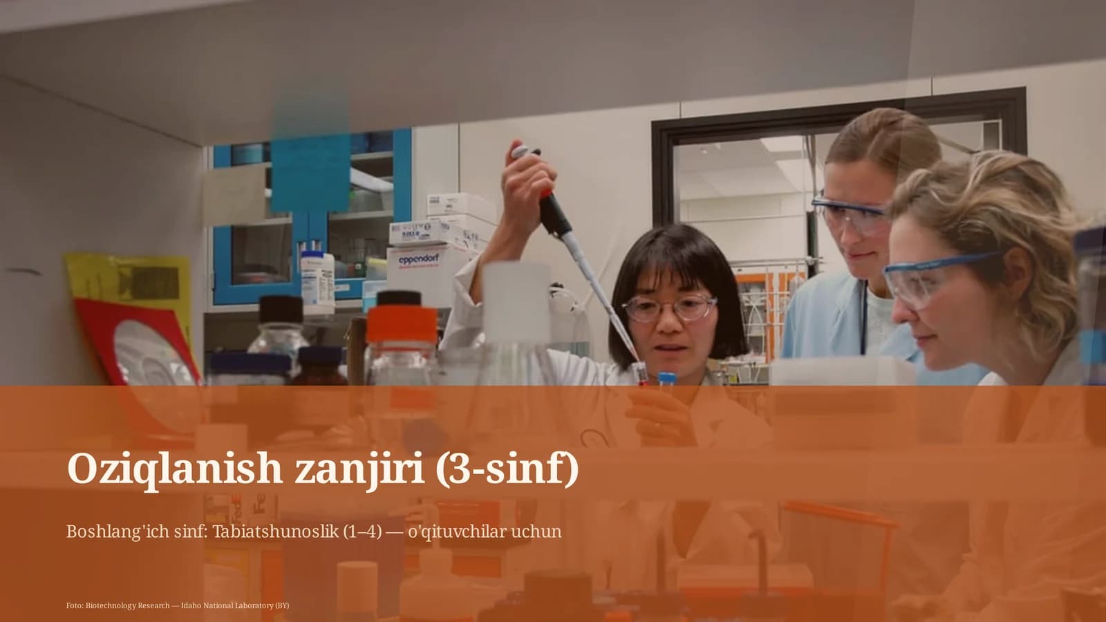 Oziqlanish zanjiri (3-sinf)