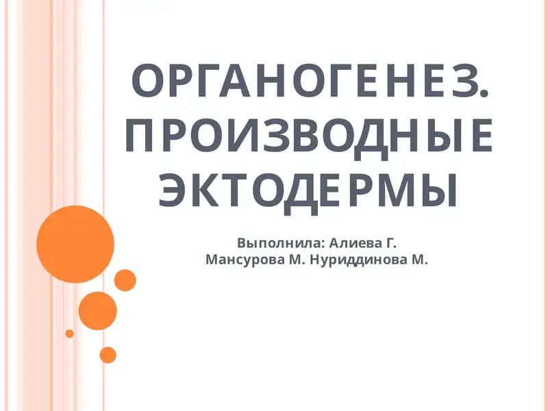 ОРГАНОГЕНЕЗ. ПРОИЗВОДНЫЕ ЭКТОДЕРМЫ