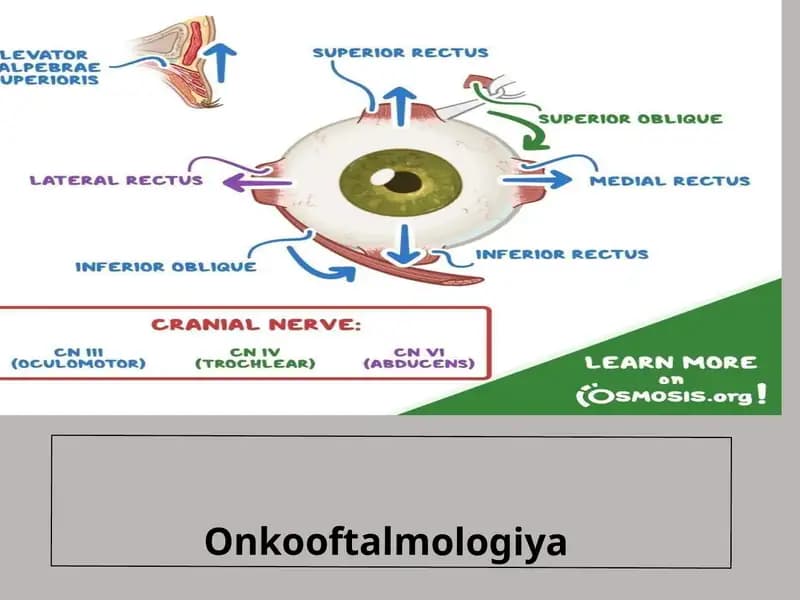 Onkooftalmologiya