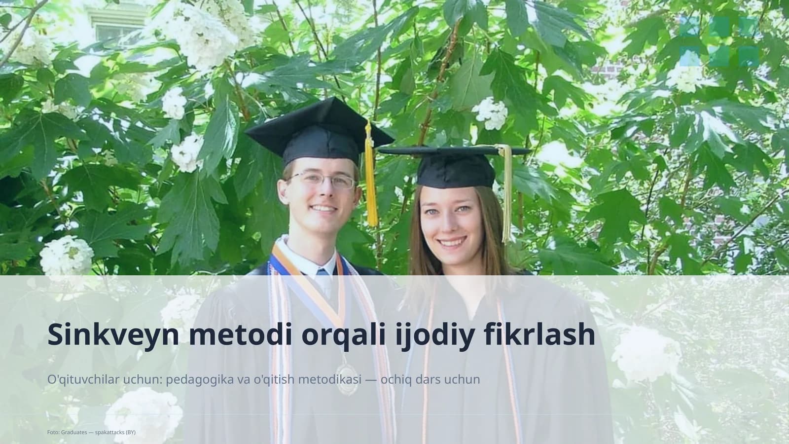 Sinkveyn metodi orqali ijodiy fikrlash