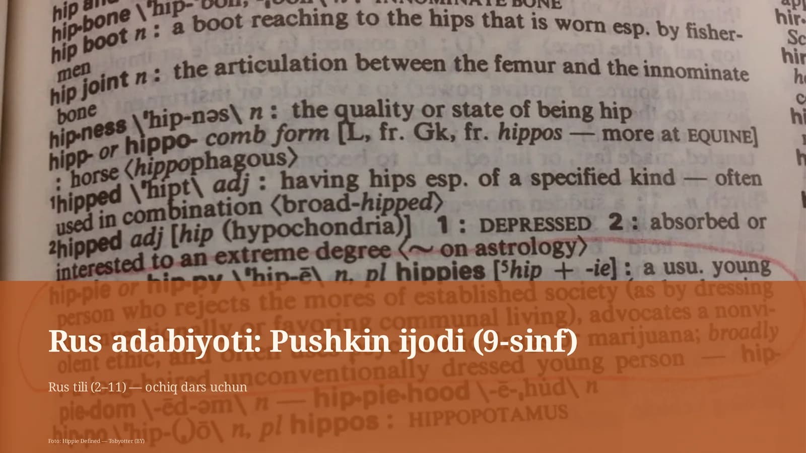 Rus adabiyoti: Pushkin ijodi (9-sinf)