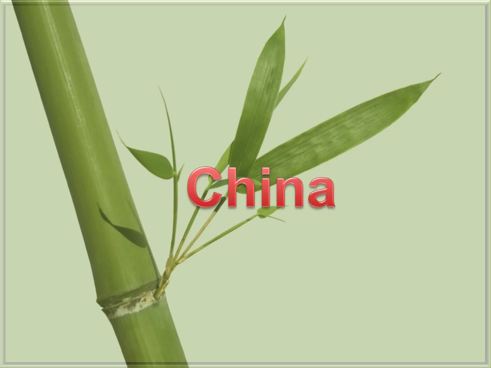 Lesson on China
