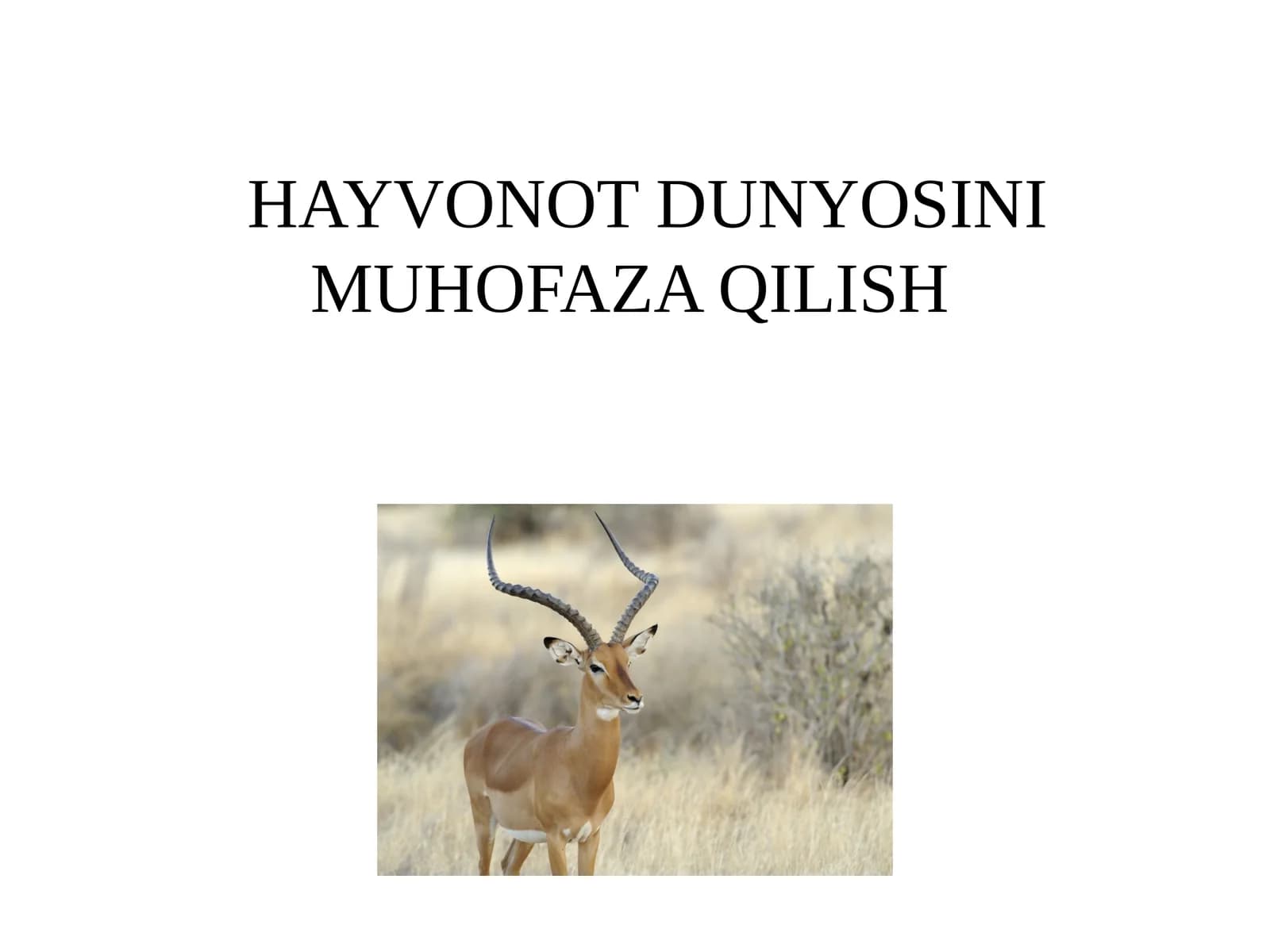 Hayvonot dunyosini muhofaza qilish