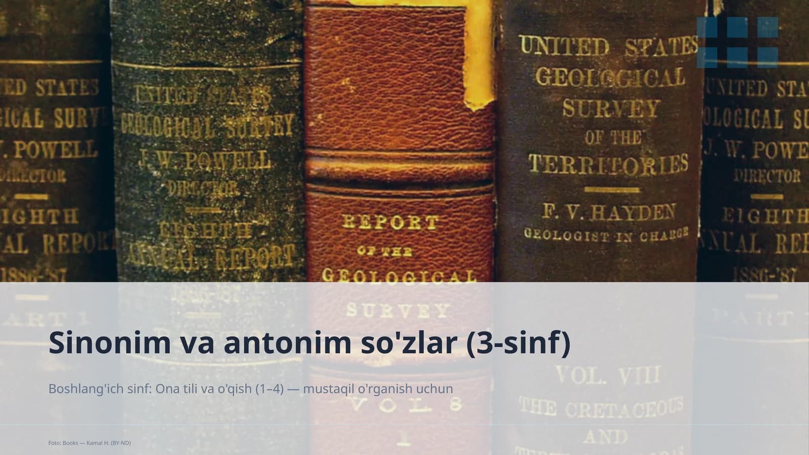 Sinonim va antonim so'zlar (3-sinf)