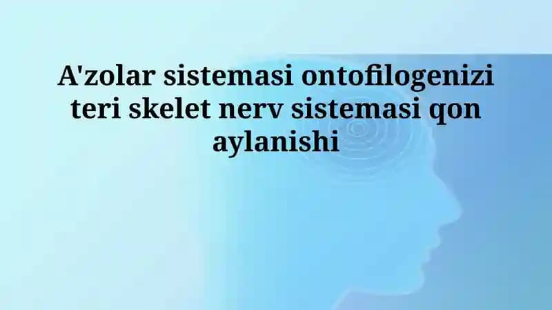 Ontofilogenez