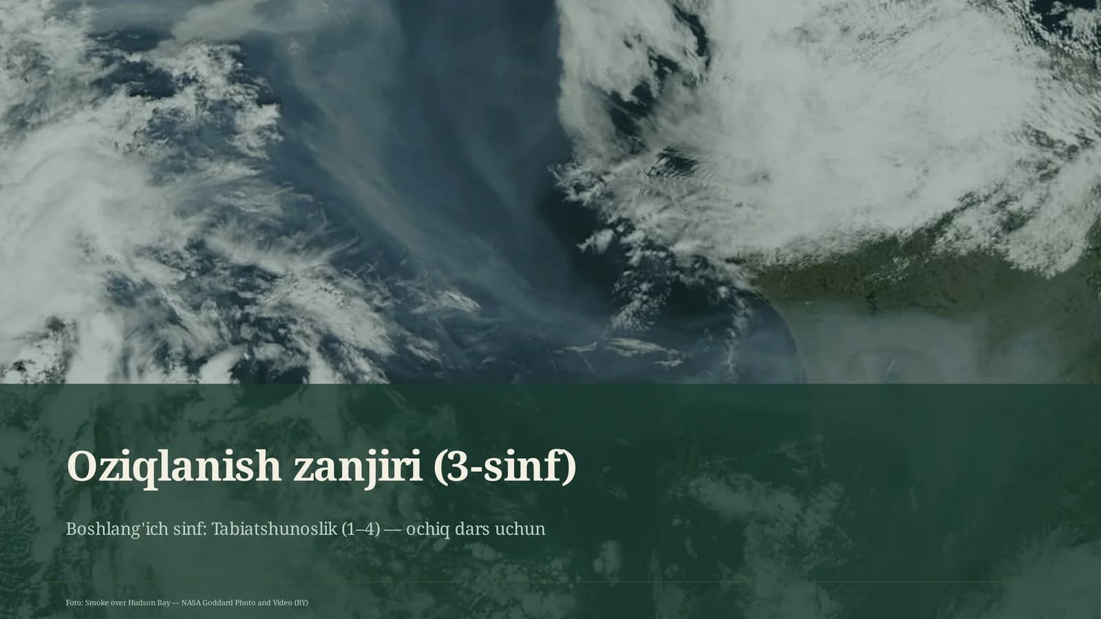 Oziqlanish zanjiri (3-sinf)