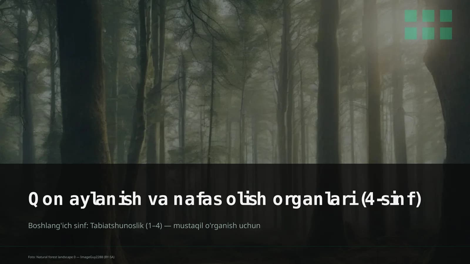 Qon aylanish va nafas olish organlari (4-sinf)