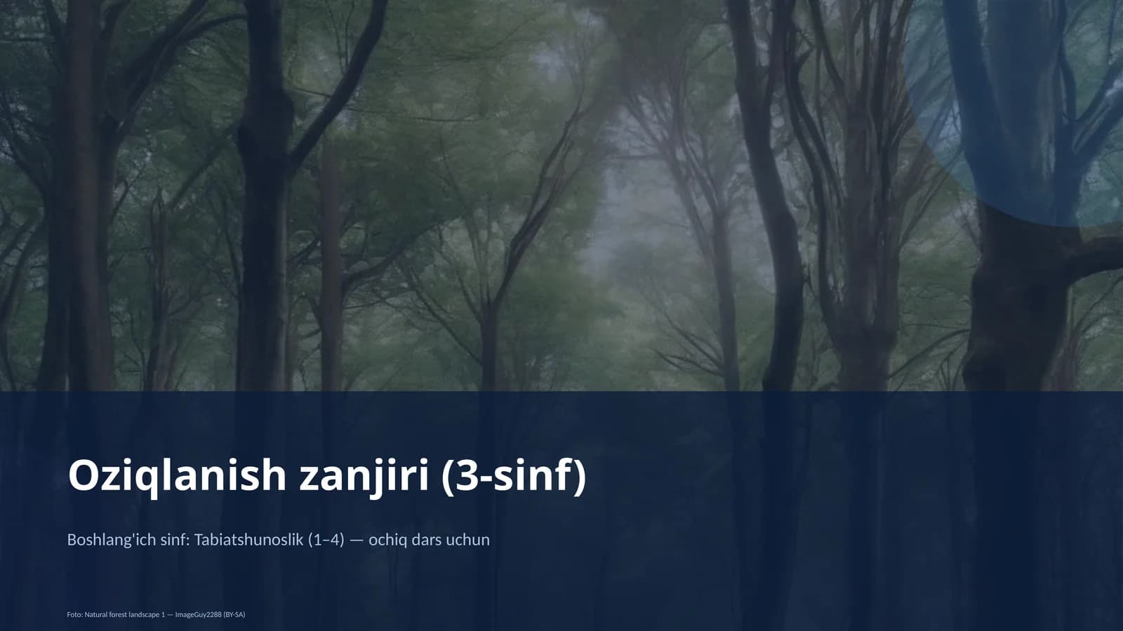 Oziqlanish zanjiri (3-sinf)