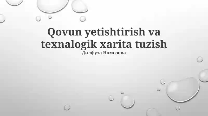 Qovun Yetishtirish va texnalogik xarita tuzish