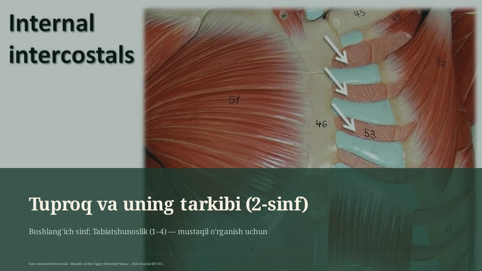 Tuproq va uning tarkibi (2-sinf)