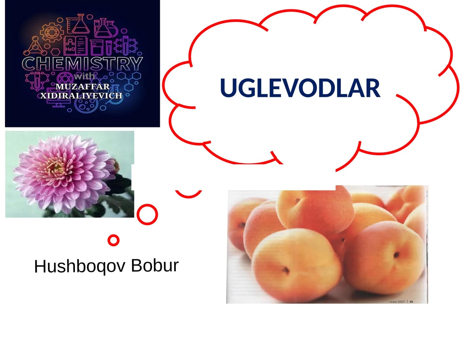 Uglevodlar haqida