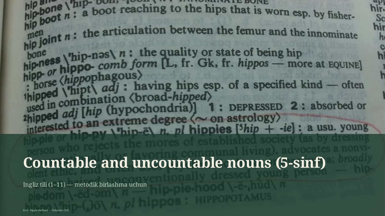 Countable and uncountable nouns (5-sinf)