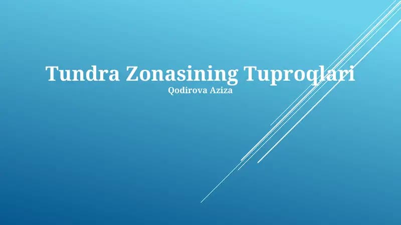 Tundra Zonasining Tuproqlari