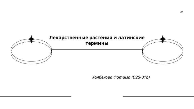 Лекарственные растения и латинские термины