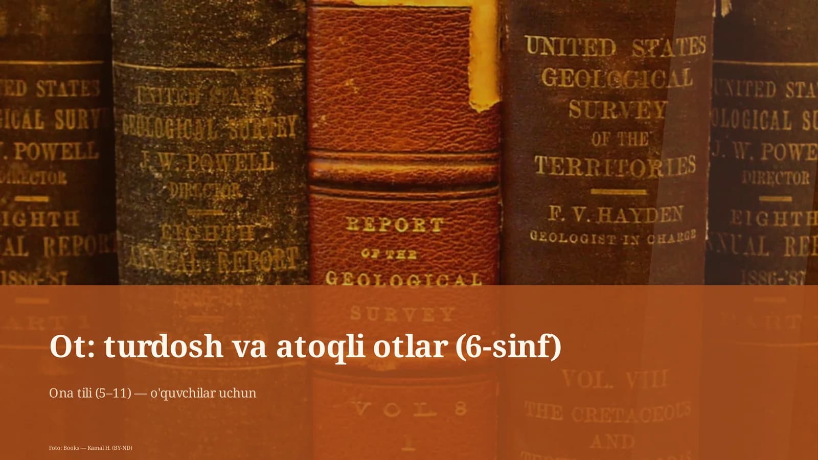 Ot: turdosh va atoqli otlar (6-sinf)