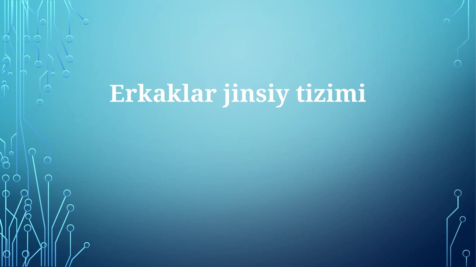 Erkaklarjinsiytizimi