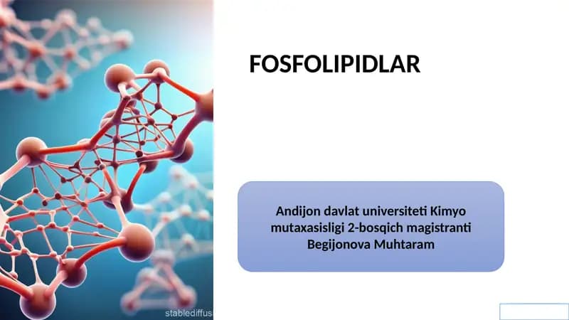 Fosfolipidlar