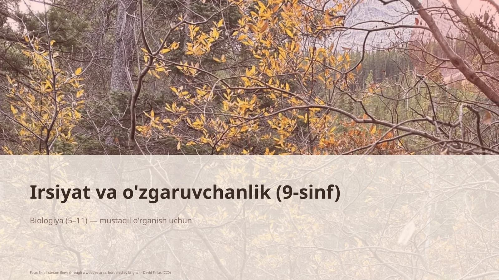 Irsiyat va o'zgaruvchanlik (9-sinf) Biologiya (5-11)