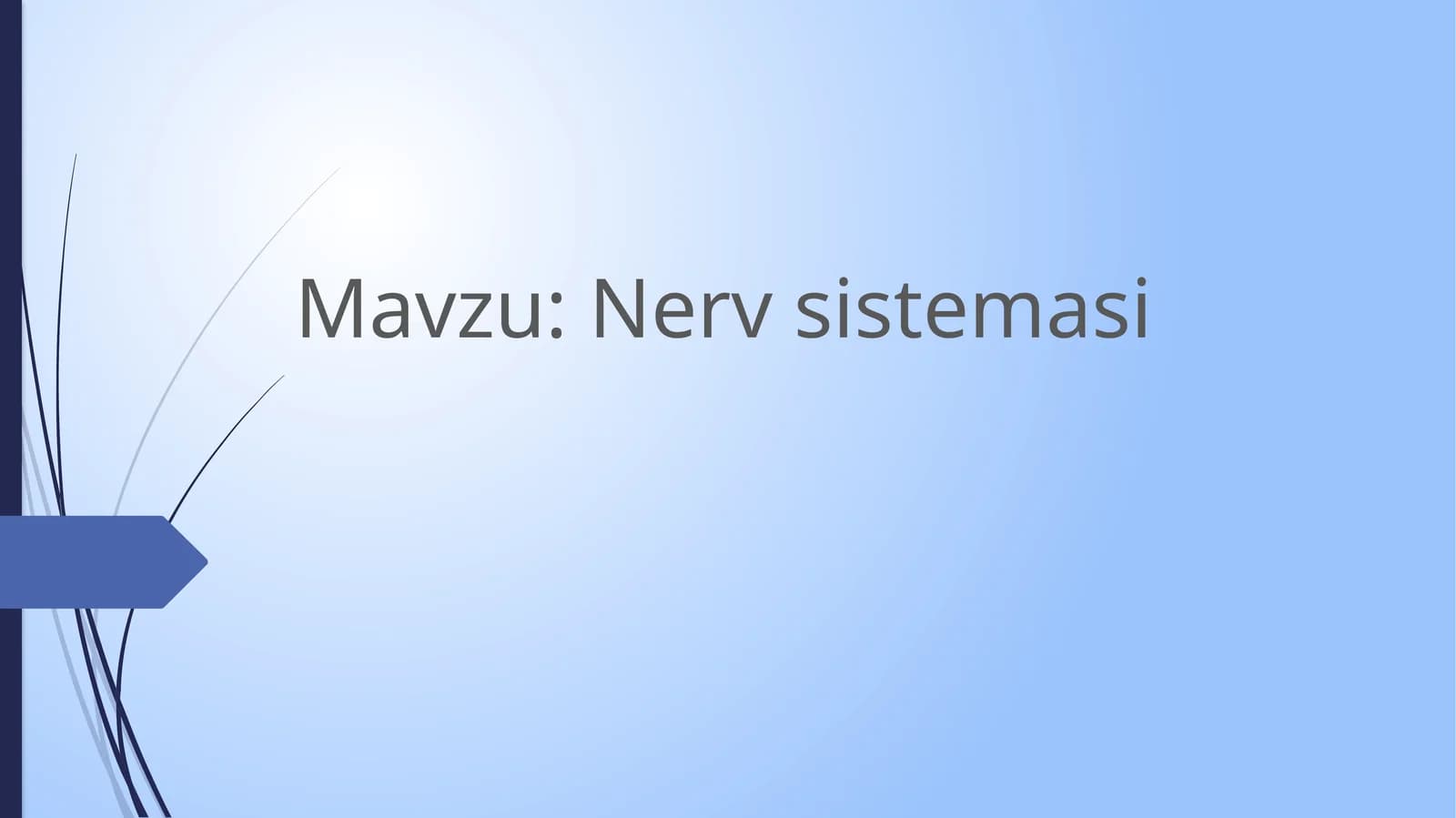 Nervsistemasi