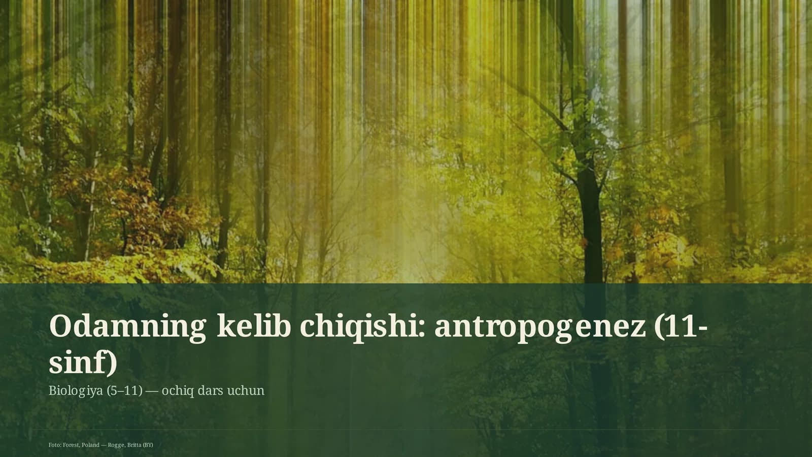 Odamning kelib chiqishi: antropogenez (11-sinf)