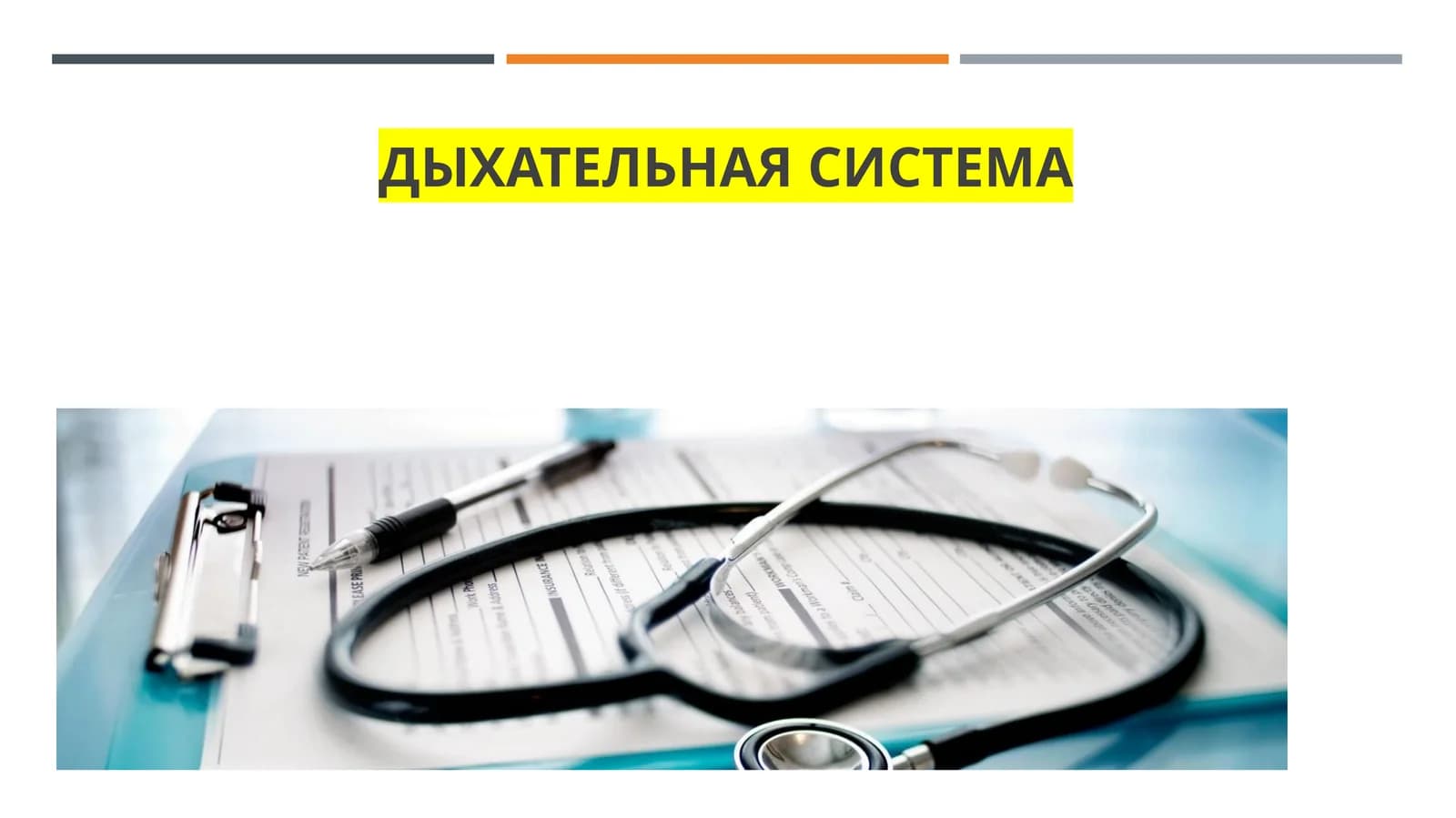 Дыхательная система