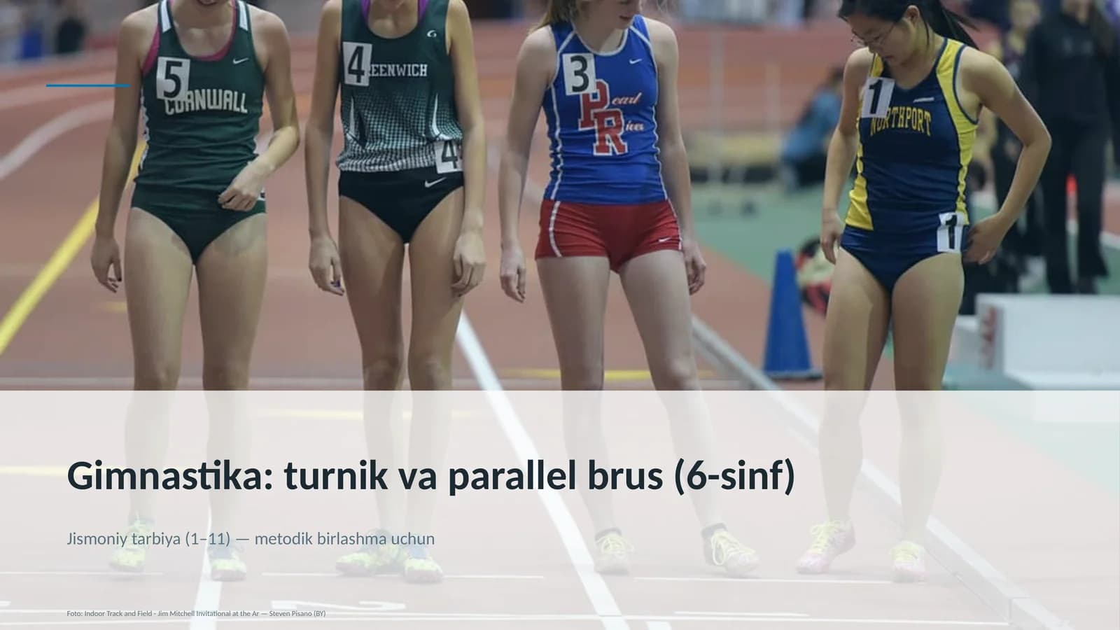 Gimnastika: turnik va parallel brus (6-sinf)