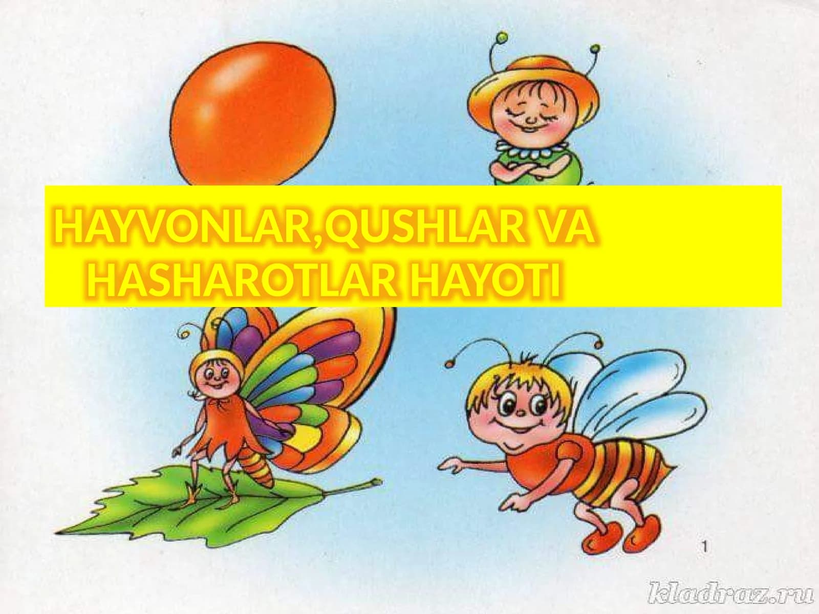 HAYVONLAR,QUSHLAR VA HASHAROTLAR HAYOTI