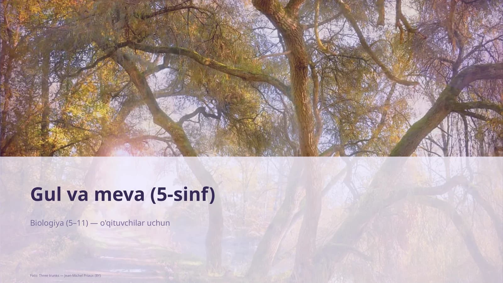 Gul va meva (5-sinf)