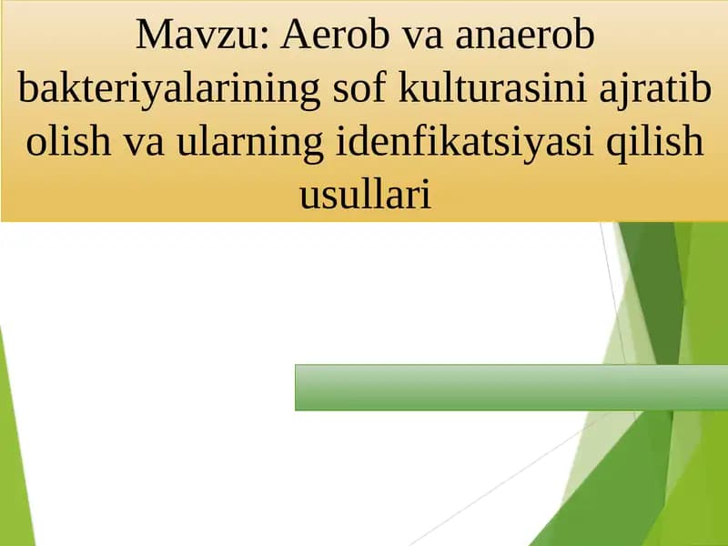 Aerob va anaerob bakteriyalarining sof kulturasini ajratib olish
