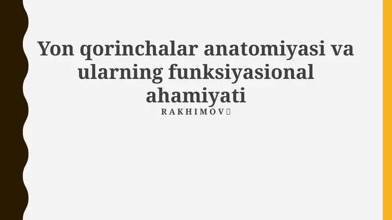 Qorinchalar anatomiyasi va ularning funksiyasional ahamiyati
