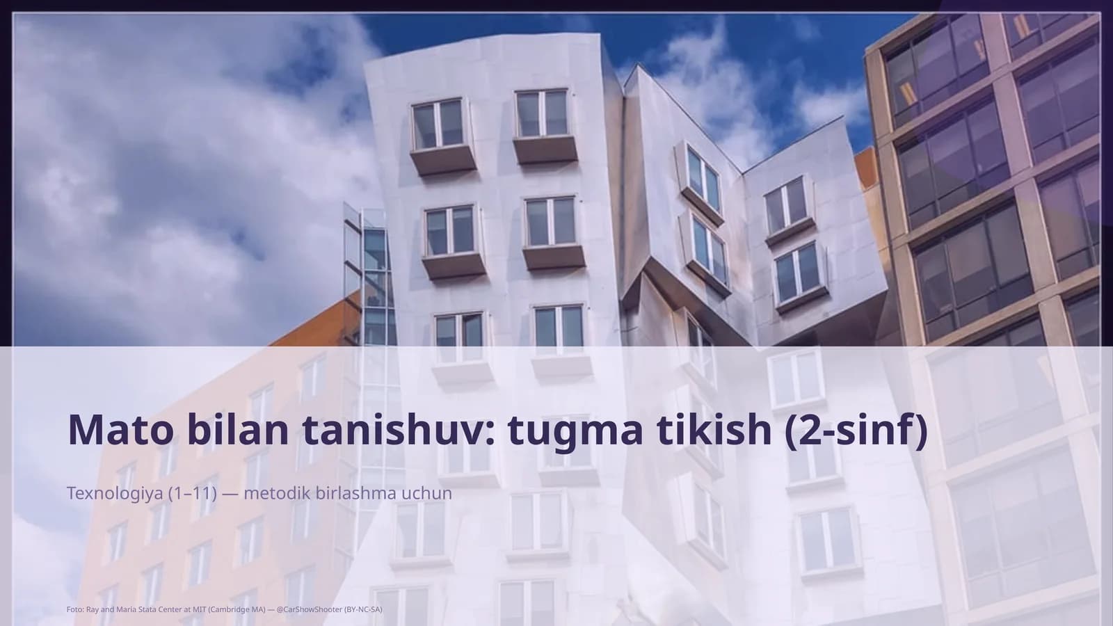Mato bilan tanishuv: tugma tikish (2-sinf)