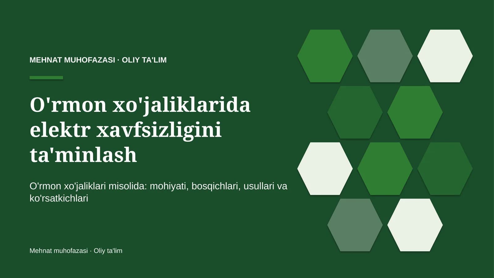o'rmon xo'jaliklarida elektr xavfsizligini ta'minlash 5970