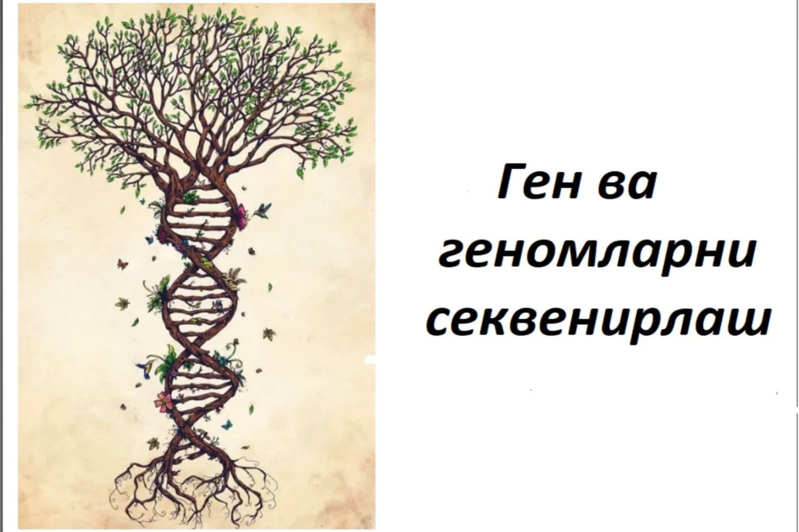 Секвенирлаш
