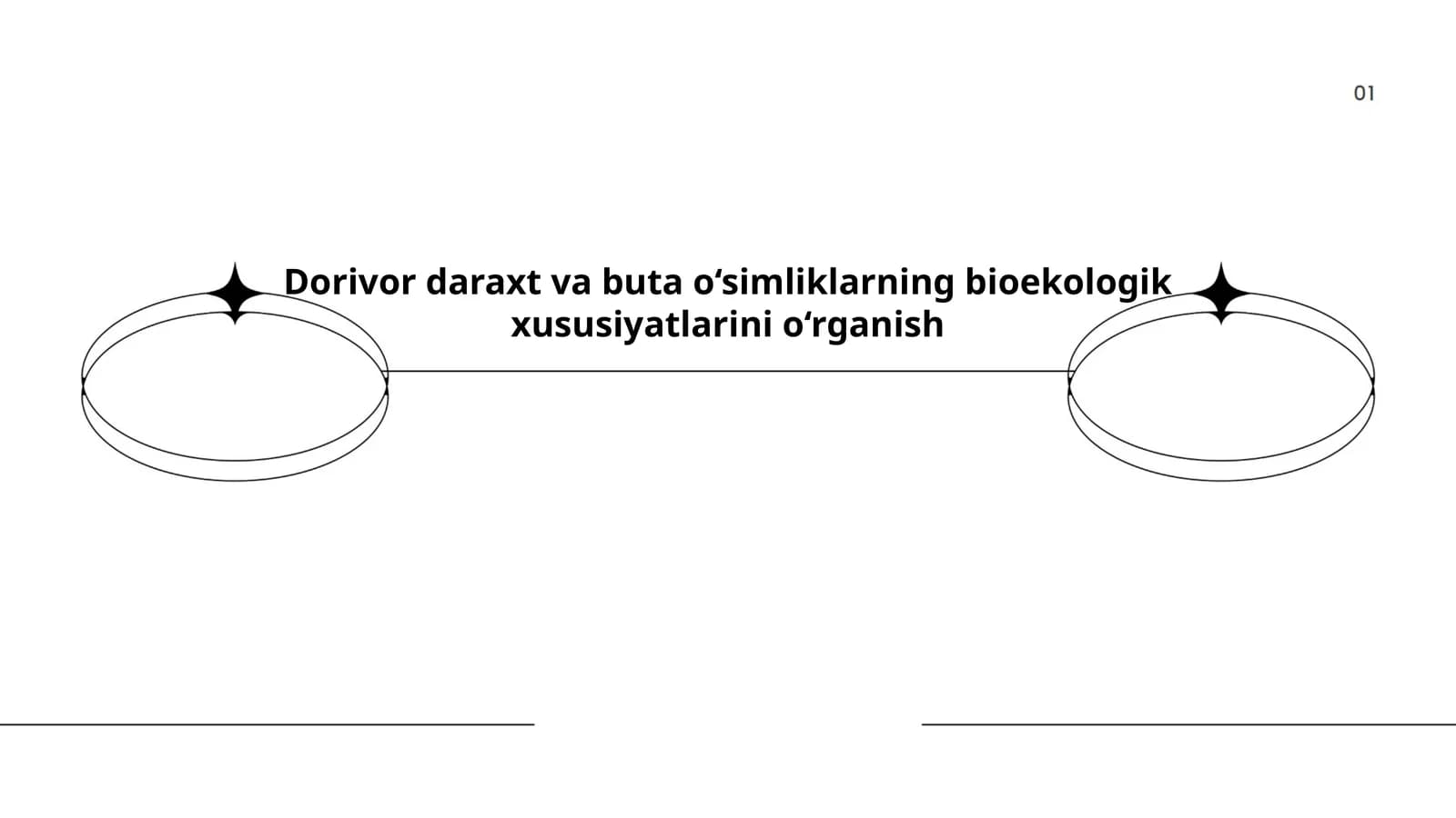 Dorivor daraxt va buta o‘simliklarning bioekologik xususiyatlarini o‘rganish