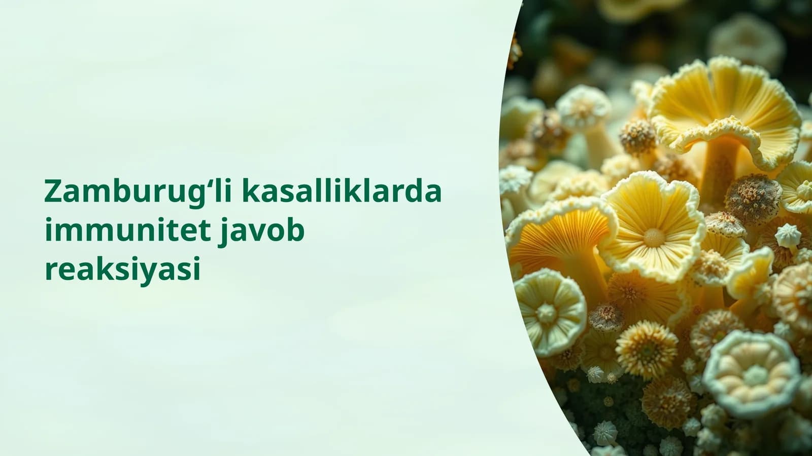 Zamburug‘li kasalliklarda immunitet javob reaksiyasi
