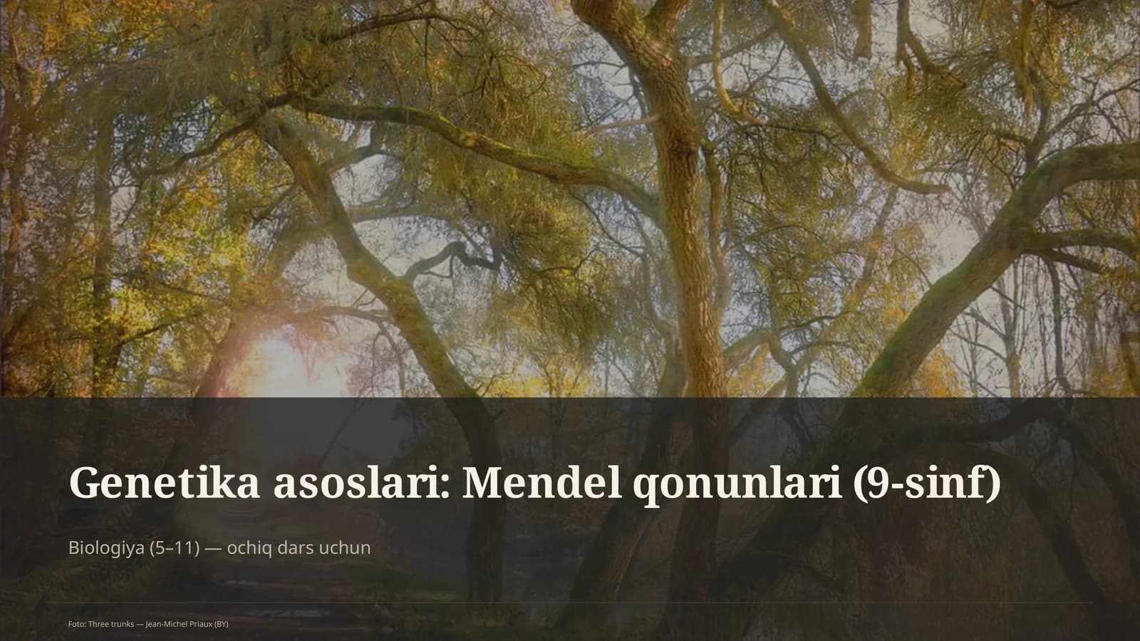Genetika asoslari: Mendel qonunlari (9-sinf)