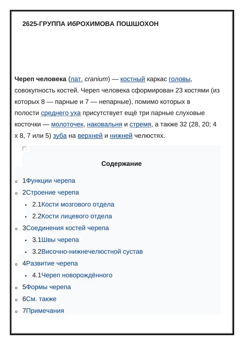 Череп человека