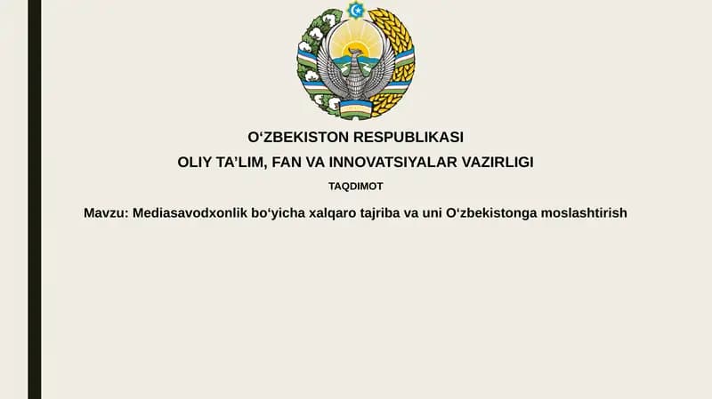 Xalqaro media savodxonligi tajribasi