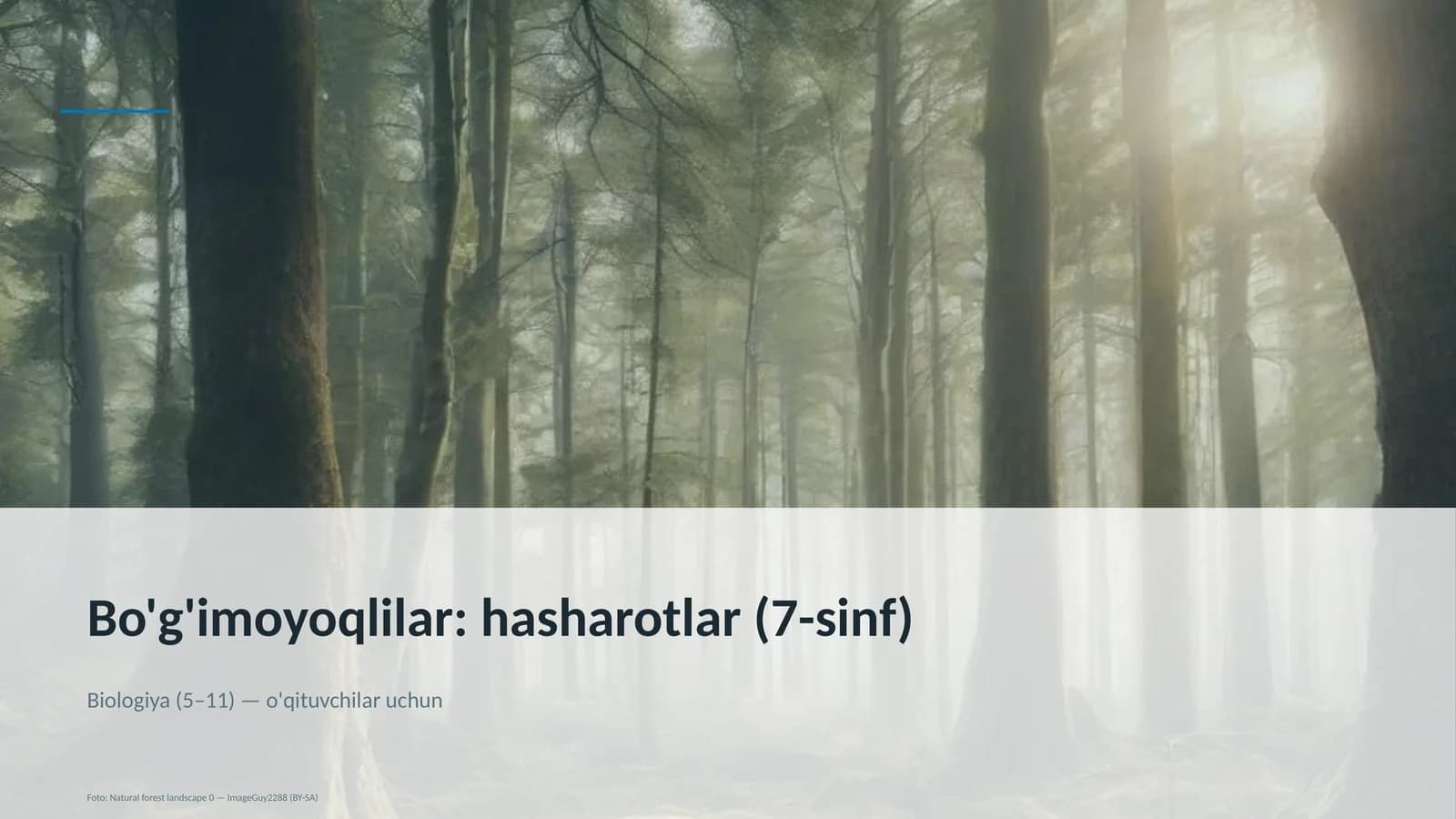 Bo'g'imoyoqlilar: hasharotlar (7-sinf)
