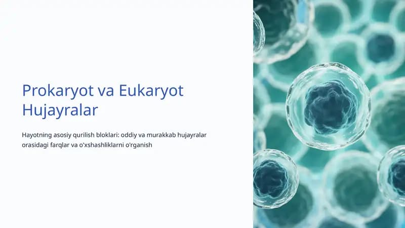 Prokaryot va Eukaryot Hujayralar
